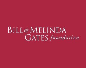 BillMelindaGatesFoundation copy.jpg